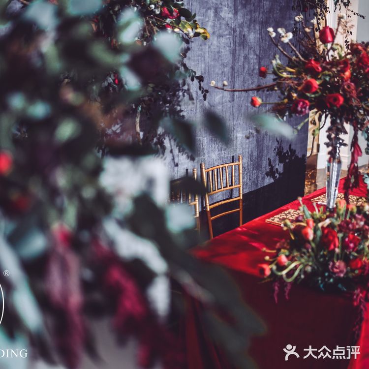 Onewedding婚礼策划丨美女与野兽