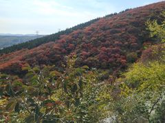 -博山九龙峪风景区