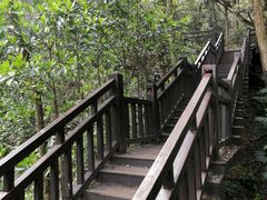 -杭州半山国家森林公园