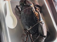 -仙本那渔人码头餐厅