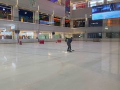 -炫采冰场(红博中央公园商场店)