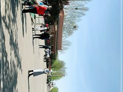 -大兴滨河森林公园