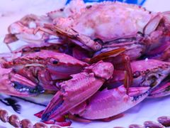 -清真老马家海鲜大排档(台东店)