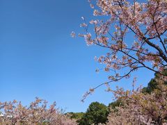 -新江湾城公园