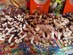 -老滇山寨•云南特色菜•地方菜•民族风情歌舞表演(金碧店)