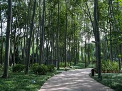 -仁和公园(顺义区)