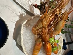 -荟廷·晶萃(陆家嘴尚悦湾店)