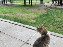 -吉曲花园餐厅