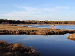 -塞罕坝国家级自然保护区