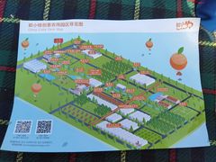 -前小桔亲子创意农场·草莓采摘·露营烧烤