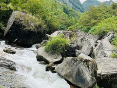 -鹿院坪生态旅游景区