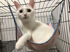 -虾小龙老长沙龙虾馆(坡子街店)