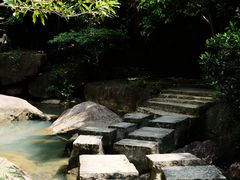 -广州白江湖森林公园