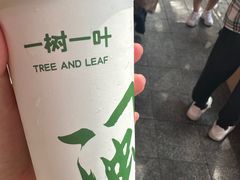 -一树一叶·福建茶档(石鼓路店)