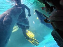 -烟台海昌鲸鲨海洋公园