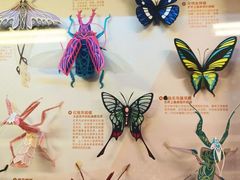 -先锋书店(五台山总店)