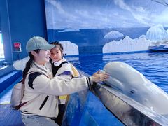 -秦皇岛乐岛海洋王国