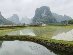 -明仕田园
