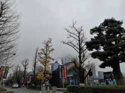 -贵阳国际生态会议宴会中心