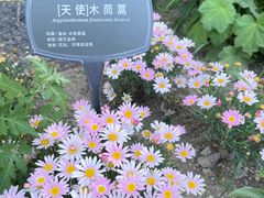 -国家植物园