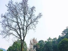 -自在弥林花园餐厅(云栖店)