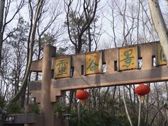 -灵谷景区