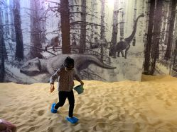 -恐龙探索乐园(磁器口店)