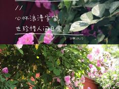 -北京石刻艺术博物馆(五塔寺)