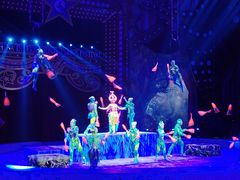 -珠海横琴长隆《卡卡虎奇遇记》