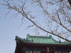 -天津大悲禅院