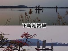 -香雪海