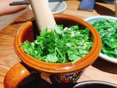 -树厨贵州菜(大十字店)