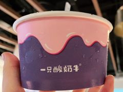 -一只酸奶牛(丹尼斯大卫城店)