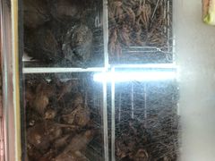 -金丹酱板鸭营业厅(紫缘路店)