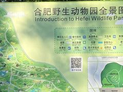 -合肥野生动物园