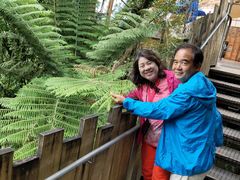 -怀托摩萤火虫洞