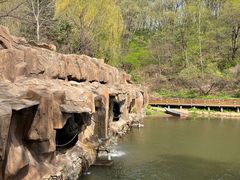-吉林市朱雀山国家森林公园