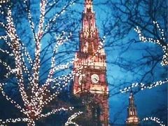 -斯蒂芬主教座堂(Stephansdom)