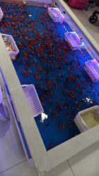 -孩子王童乐园(鹏瑞利青羊广场店)