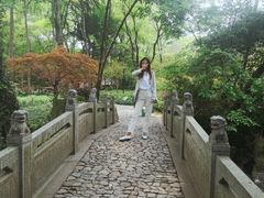 -汇龙潭