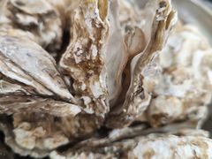 -宾朋海鲜饭庄(兴海路店)