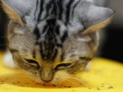 -北京老门框爆肚涮肉馆(凤城六路店)