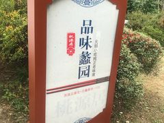 -桃源居(蠡园店)