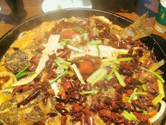 老板恋上鱼-老板恋上鱼(高新万达店)