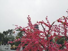 -厦门方特东方神画