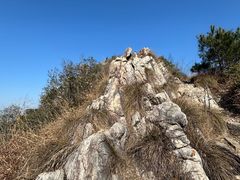 -午潮山国家森林公园