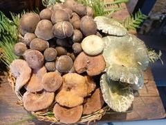 -滇铺子·云南特色菜·鲜花野菜季(曲靖万达店)