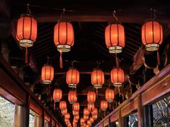 -祥源·阜阳生态乐园