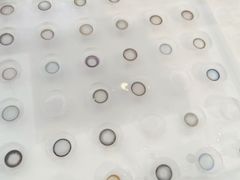 -可糖美瞳·隐形眼镜·测基弧(朝阳大悦城店)