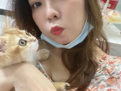 -lincat·猫舍(广州店)